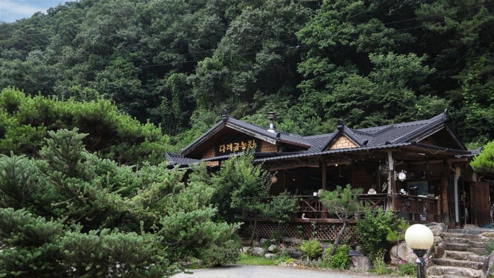 Hoengseong Daraegol Sanbang Pension エクステリア 写真